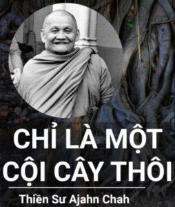 maithengoc.com_Chỉ là một cội cây thôi-Ajahn Chah