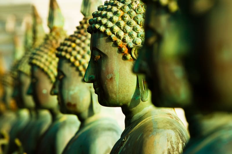 Dục_maithengoc.com.jpg Dục_maithengoc.com.jpg